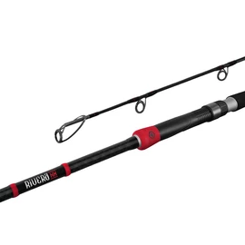 Delphin RIVERA NX - 240cm/150g