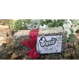 Trópus Téli rúd 2x140g magkeverék 10 db-os kiszerelés!