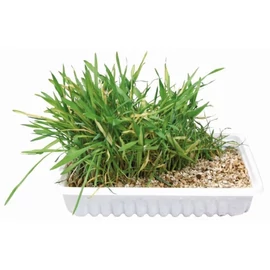 Trixie Macskafű Dobozos 100gr