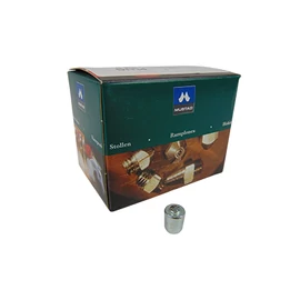 PATKÓSAROK VÍDIA STIFT PLUG 13S MST70697