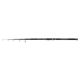 BOT CARP EXPERT ADVANCER TELE 40-80G 3,00M