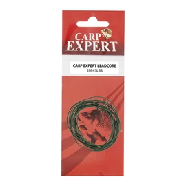 CARP EXPERT LEADCORE 45 LB 10 M