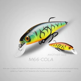 Bearking Squad Minnow 65 mm - A