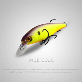 Bearking Squad Minnow 65 mm - C