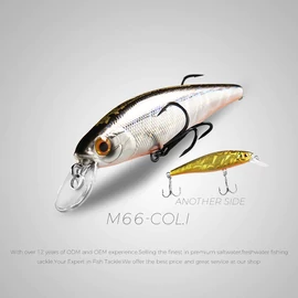 Bearking Squad Minnow 65 mm - F