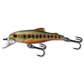 LIVETARGET TROUT JERKBAIT BROOK TROUT 50 MM 3 G