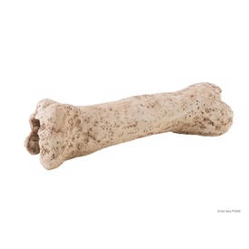 Exo-Terra Dinosaur Bone - Dinoszaurusz csont - bújó hüllők részére (19cm)