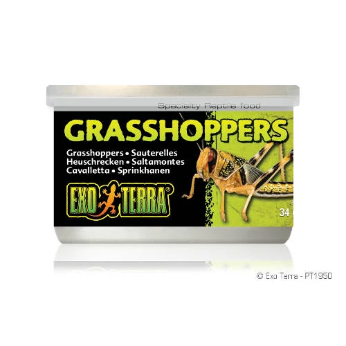 Exo-Terra Grasshoppers - hüllőeledel (szöcske) 34g