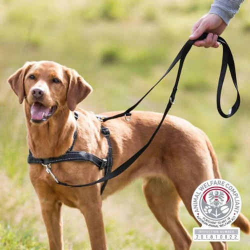 Trixie Harness Lead'n'Walk Soft - hám (húzás ellen,fekete) kutyák részére (L-XL) 65–105 cm/25mm