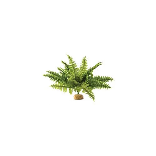 Exo-Terra Rainforest Plant Boston Fern Medium - Terráriumi műnövény dekoráció (szoba páfrány) cca.20cm