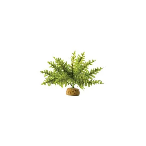 Exo-Terra Rainforest Plant Boston Fern Small - Terráriumi műnövény dekoráció (szoba páfrány) cca.10cm