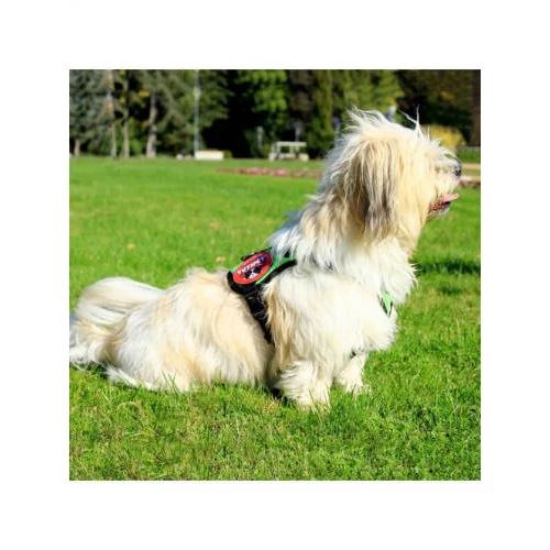 KT. Yutipet Safety Harness (XS) - hám (biztonági, zöld) kutyák részére (36-47cm/20mm) max:5kg