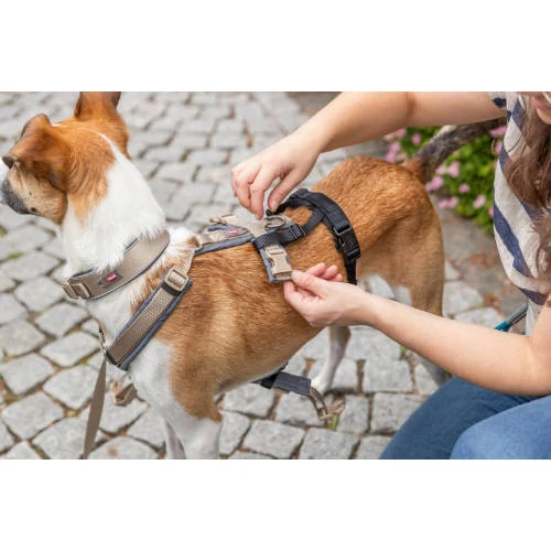 Trixie Stay Panic-adaptor for harnesses, (szökésbiztos) hámhoz csatlakoztatható védelem - fekete  L–XL: 59–92 cm/25 mm