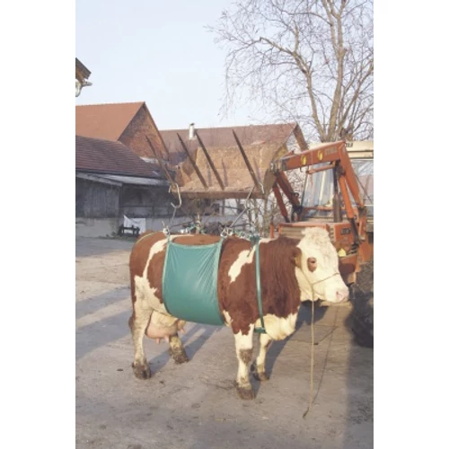 ÁLLATEMELŐ HEVEDERES