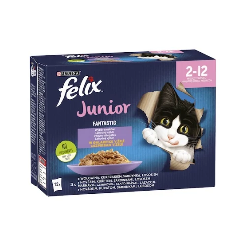 Purina Felix Fantastic Junior vegyes válogatás aszpikban - nedves macskaeledel 12 x 85 g