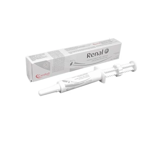 Renal P Oral paszta macskáknak 1  x 15 ml