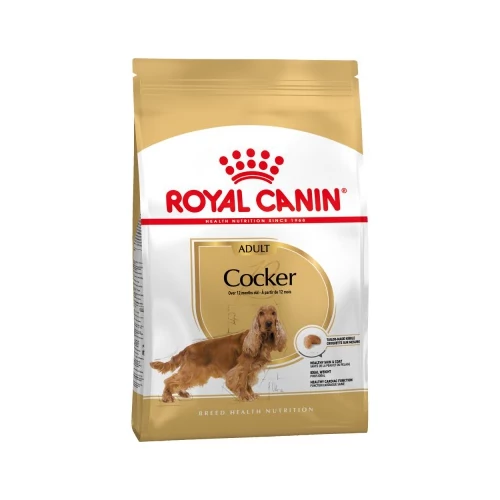 Royal Canin Cocker Adult - Cocker Spániel felnőtt kutya száraz táp 3 kg