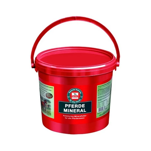 SALVANA PFERDE MINERAL LÓ 4 KG