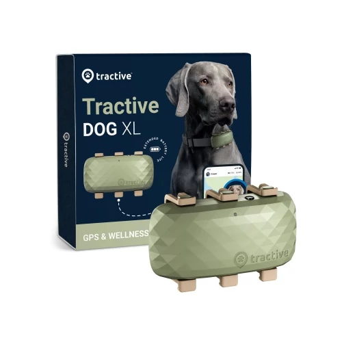Tractive Dog XL - kutya GPS nyomkövető és aktivitásmérő Zöld g