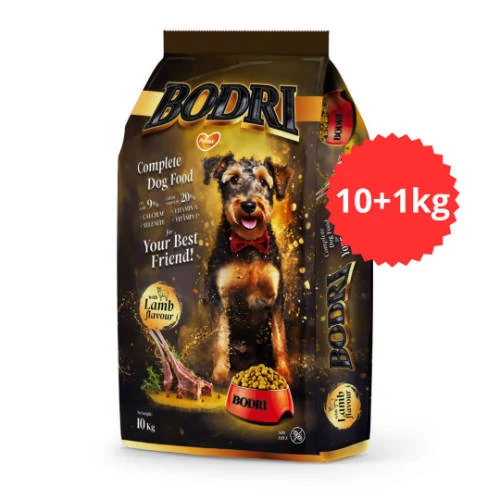 Bodri Adult (bárány) száraztáp - Felnőtt kutyák részére (10+1kg)