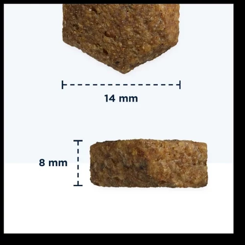 Eukanuba Adult Dog Mono Protein Lazac 12kg