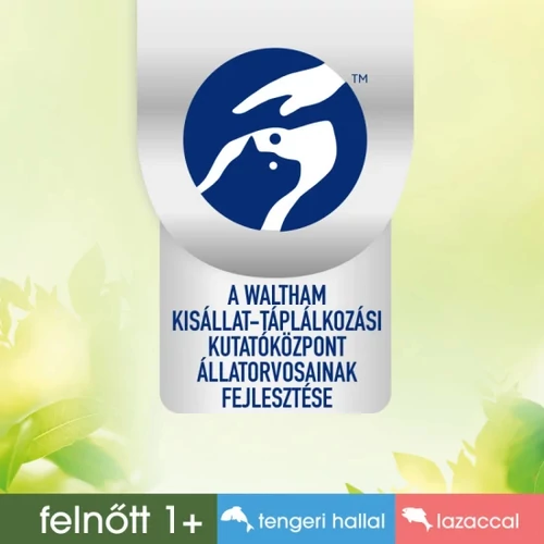 PERFECT FIT mini tasakos  lazac & oceani halas 6x50gr