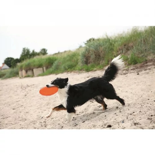 Trixie Játék Dog Disc Hőre Lágyuló 22cm