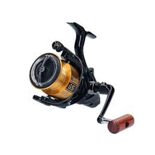 Daiwa GS BR LT 5000-C