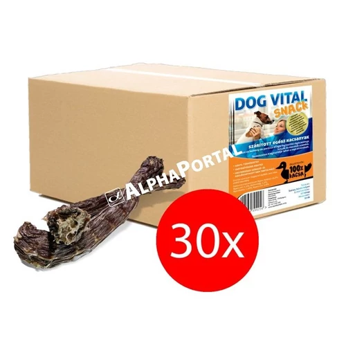 Dog Vital Szárított Kacsanyak 30db/karton