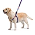 WAUDOG harness NASA21 - hám (QR kódos, NASA21 dizájn, müa.csatt) kutyák részére (60-90cm/25mm) M
